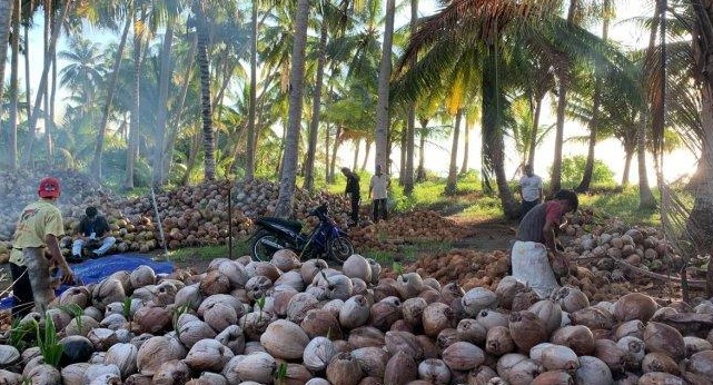 Kelapa dan Santan Naik di Kepri